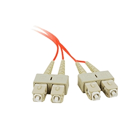 CB-FE0211-S1 | ActForNet