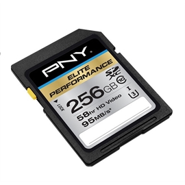 P-SDX256U395-GE | ActForNet