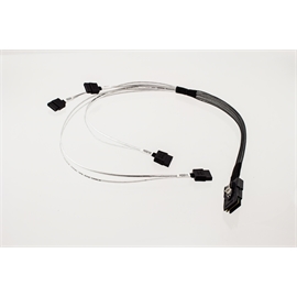 AMPH-874S-STEP-875 | ActForNet