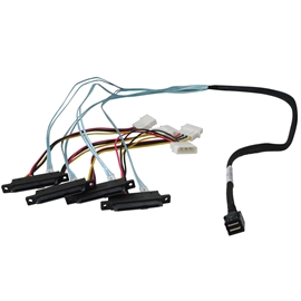 8643-4SAS-1M | ActForNet