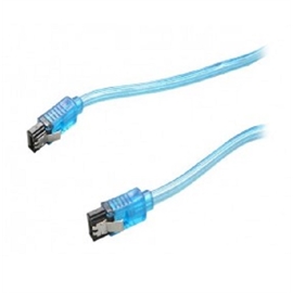 RCAB-11038 | ActForNet