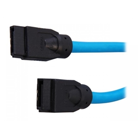 RCAB-11046 | ActForNet